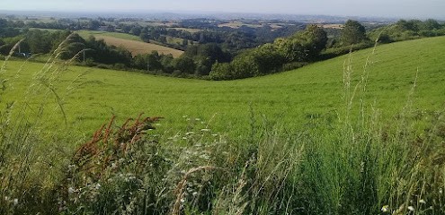 Au Délice Paysan - Vente directe de colis de viande Bio de boeuf et de porc et charcuterie Bio, Ferme Bio à La Salvetat-Peyralès