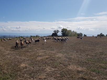 GAEC La ferme bobon, Ferme Bio à Vion