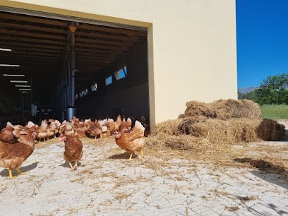 Les Œufs de la Sainte-Victoire, Ferme Bio à Trets