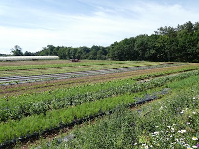 La Ferme des Buttes, Ferme Bio à Sévérac