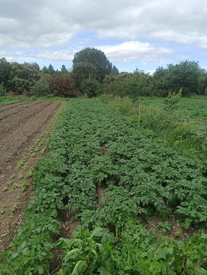 Le Jardin Des Trompettes, Ferme Bio à Montesquieu-des-Albères