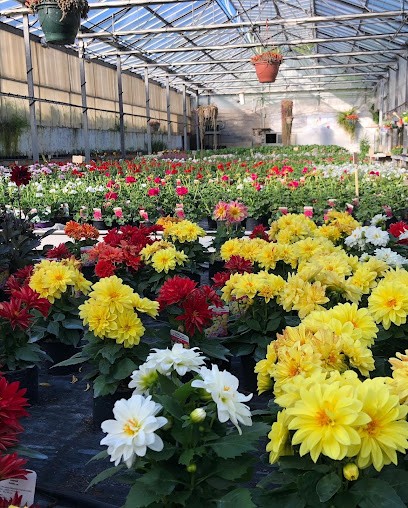 Horticulture et maraîchage - Les Jardins de Busy - produits de la ferme à Besançon, Ferme Bio à Busy