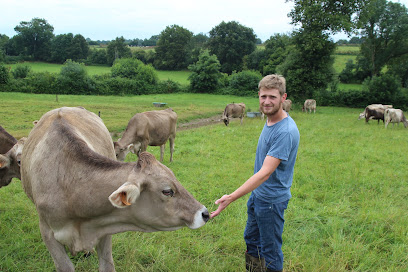 Lait Brunes, Ferme Bio à Châtelain