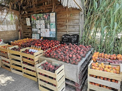Les Genets Fruits BIO - Bertrand PUIG (EARL), Ferme Bio à Canohès
