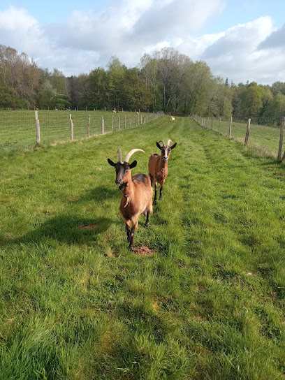 La Ferme Du Comté Fleurette, Ferme Bio à Chalais