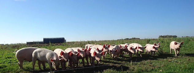 La Ferme des Coquelicots, Ferme Bio à Rocheservière