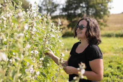 O Lueurs D'aubépine Ferme Bio à Combrand