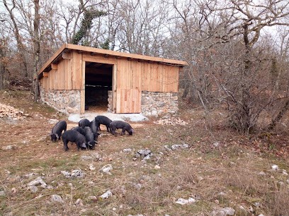 Ferme bio de Bourdes, Ferme Bio à Saint-Cirq