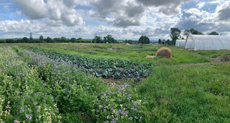 La Ferme d'Elles, Ferme Bio à Saint-Georges-d'Elle
