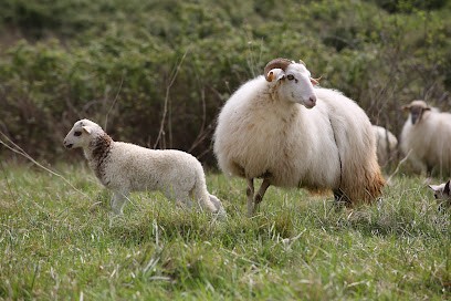 La L'Uby Des Moutons, Ferme Bio à Cazaubon