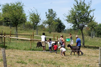 La Ferme Des Cocottes, Ferme Bio à Saint-Maclou