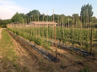 Le Potager de Flo-Anne, Ferme Bio à Saint-Bauzille-de-Montmel
