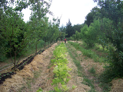 Ferme Le Boulidou Ferme Bio à Cazilhac
