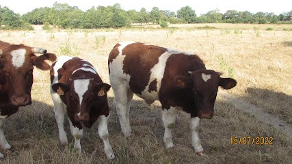la Ferme Bio La Connouere, Magasin Bio à Mauléon