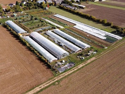 Les trois parcelles, Ferme Bio à Yèvre-la-Ville