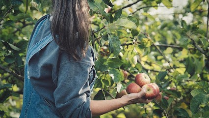 Le Marché Des Coteaux, Magasin Bio à Remouillé