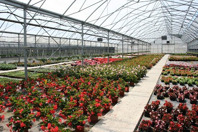 Serre De Vente, Ferme Bio à Antibes