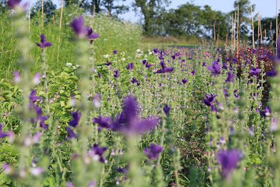 Le Jardin Des Sens, Ferme Bio au Vieux-Marché