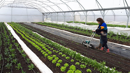 La Ferme Du Ruisseau Ferme Bio à Audincourt