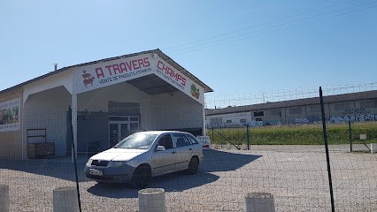 À travers champs, Magasin Bio à Beaumont-de-Lomagne