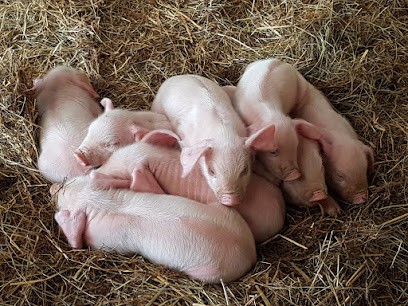 Le Pré de la Rivière, Ferme Bio à Chanteloup