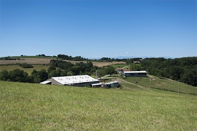 La Viande d'Olivier, Ferme Bio à Saverdun