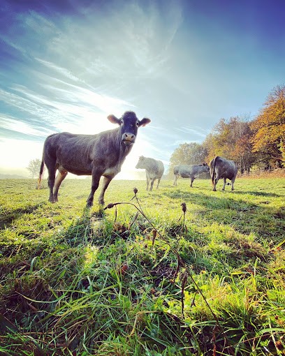 La Ferme de Bastien, Ferme Bio à Goulles