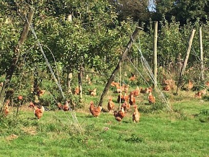 Le Pépin Et La Plume, Ferme Bio à La Roche-Maurice