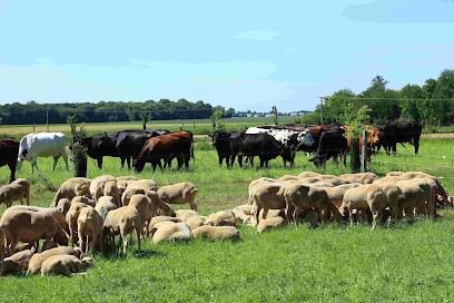Ferme des Pâtures, Ferme Bio à Le Val Dore