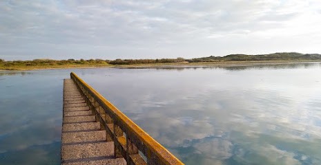 Ferme de la Rive Mer, Ferme Bio à Port Bail Sur Mer