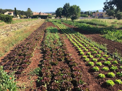 Le potager du Domaine de Fabrégas, Ferme Bio à La Seyne-sur-Mer