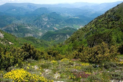 LE PRÉ DU HAUT - pépinière et jardins bio, Ferme Bio à Teyssières