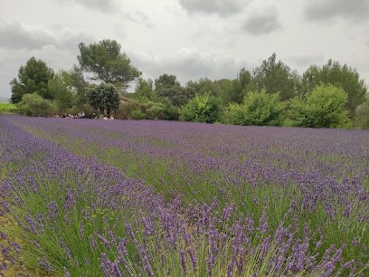 Mas De Villetelle, Ferme Bio à Gignac