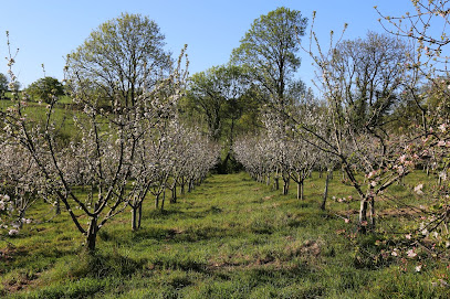 Le Verger De Pirouette Magasin Bio à Saint-Pardoux-Soutiers