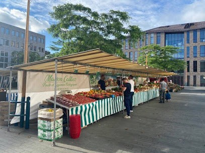 Maison Callico, Magasin Bio à Montfermeil