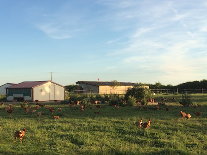 La Ferme Des Ilots, Ferme Bio à Villiers-le-Morhier