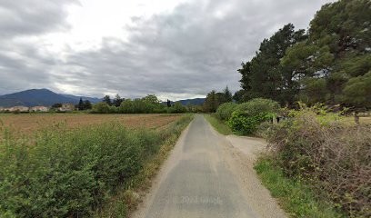 BRICAULT Patrick, Ferme Bio à Saint-Jean-Pla-de-Corts