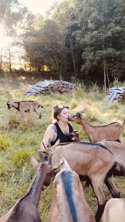 Les Pampilles De La Plaine, Ferme Bio aux Voivres