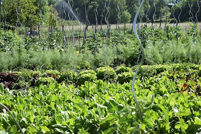 Les Jardins de Simondon, Ferme Bio à Plats