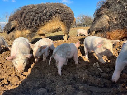 La Ferme du Rival - Frechat Arnaud, Magasin Bio à Sardieu