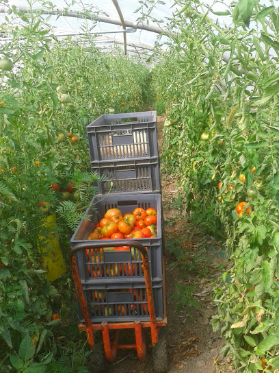 Ma Saison Légumes Et Fruits Ab, Ferme Bio à Salon-de-Provence