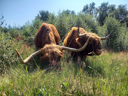Ferme Des Highlands, Ferme Bio à Saint-Léger-la-Montagne