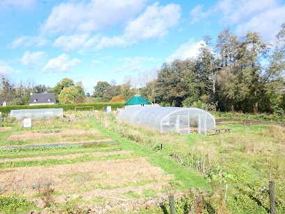 Le champ de patates, Ferme Bio à Langouet