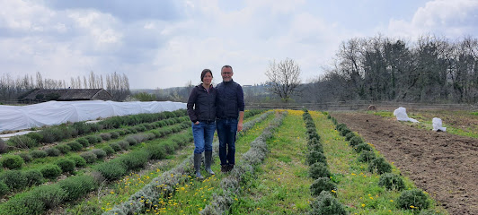 Gaec Néoherba, Ferme Bio à Dévillac