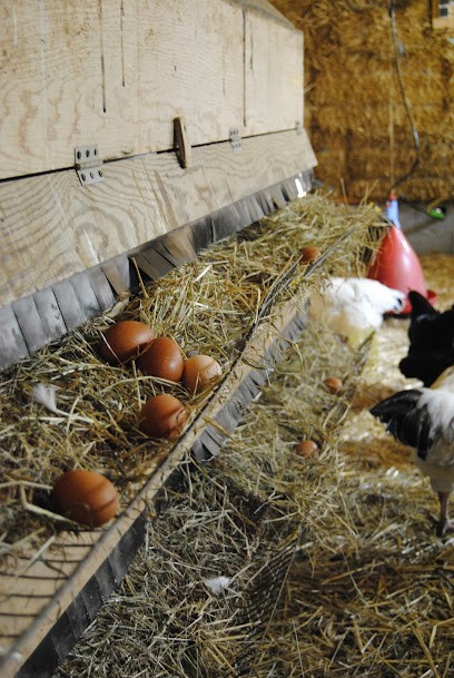 Ferme du Goazio, Magasin Bio à Pommerit-le-Vicomte