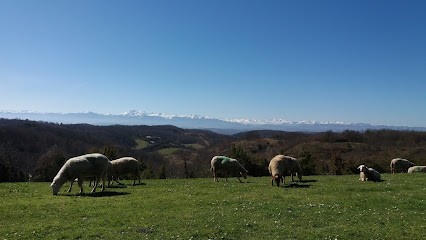 Earl L'Odyssée des bergers, Ferme Bio à Lafage