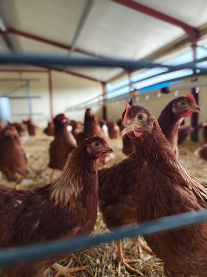 Ferme De Brully, Ferme Bio à Saint-Romain