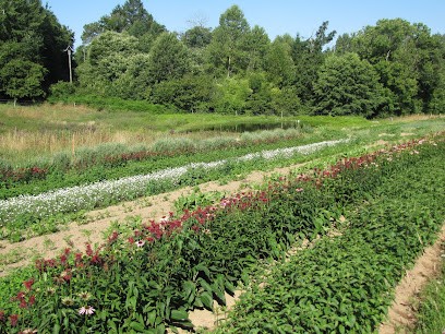 Melilotus, Ferme Bio à Chanteix