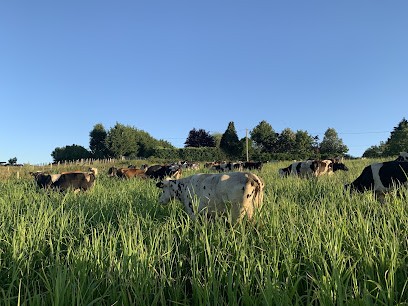 GAEC LE MAS D'ILLINS, Ferme Bio à Luzinay