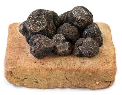 Truffes De Montcuq, Magasin Bio à Montcuq-en-Quercy-Blanc